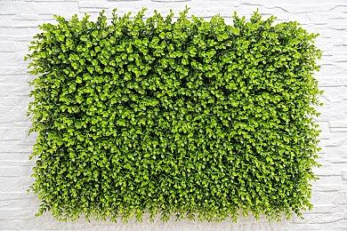 《心灵杀手2》确认参加科隆开幕之夜直播 将有全新预告